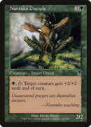 253-nantukodisciple