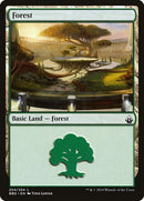 254-forest