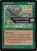 255-landleeches