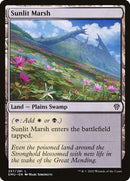257-sunlitmarsh