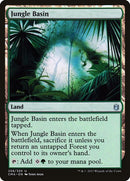 258-junglebasin