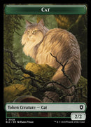 26-cat-a