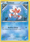 26-goldeen