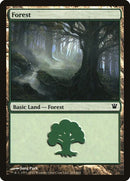 263-forest