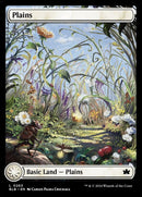 263-plains
