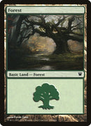 264-forest