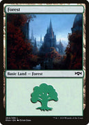 264-forest