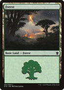 264-forest