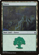 264-forest