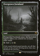 265-overgrownfarmland