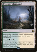 265p-overgrownfarmland