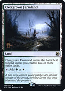 265s-overgrownfarmland