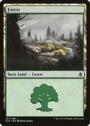 267-forest