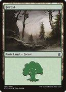 268-forest