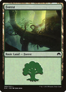 269-forest