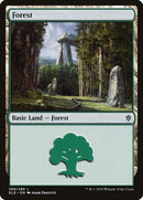 269-forest