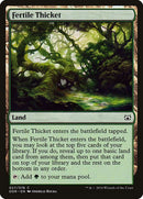 27-fertilethicket