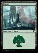 271-forest