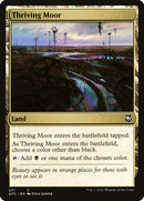 271-thrivingmoor