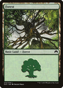 272-forest
