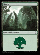 272-forest