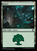 273-forest