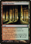 273-fungalreaches