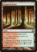 274-fungalreaches