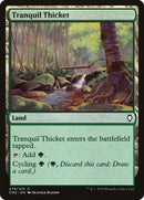 274-tranquilthicket