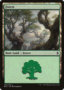 274a-forest
