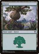 275-forest