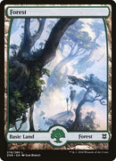 278-forest