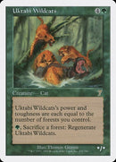 278-uktabiwildcats