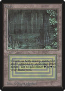 279-bayou