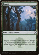 279-forest