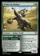 28-brightcapbadgerfungusfrolic-a