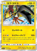 28-tapukoko