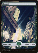 281-forest