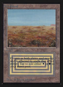 282-scrubland