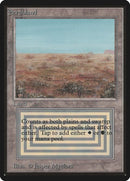 282-scrubland