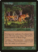 284-wilddogs