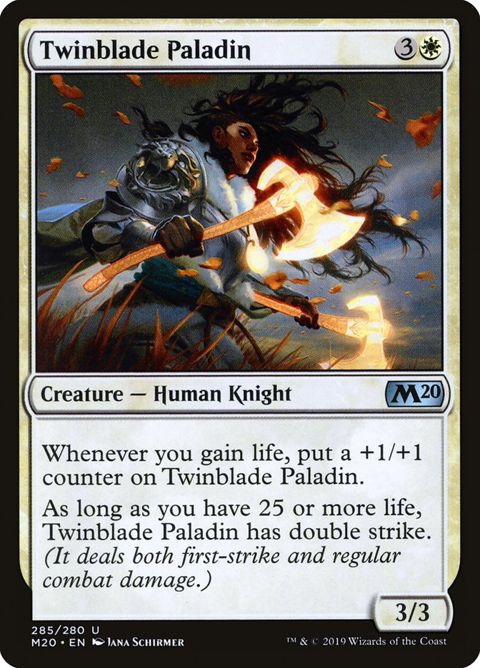 285-twinbladepaladin