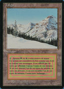 287-taiga