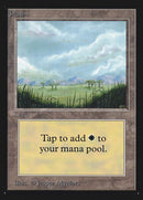 289-plains