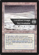 289-tundra