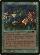 29-argothianpixies