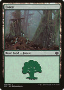 29-forest
