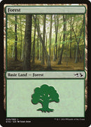 29-forest