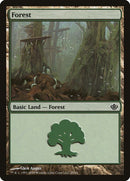 29-forest