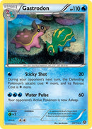 29-gastrodon